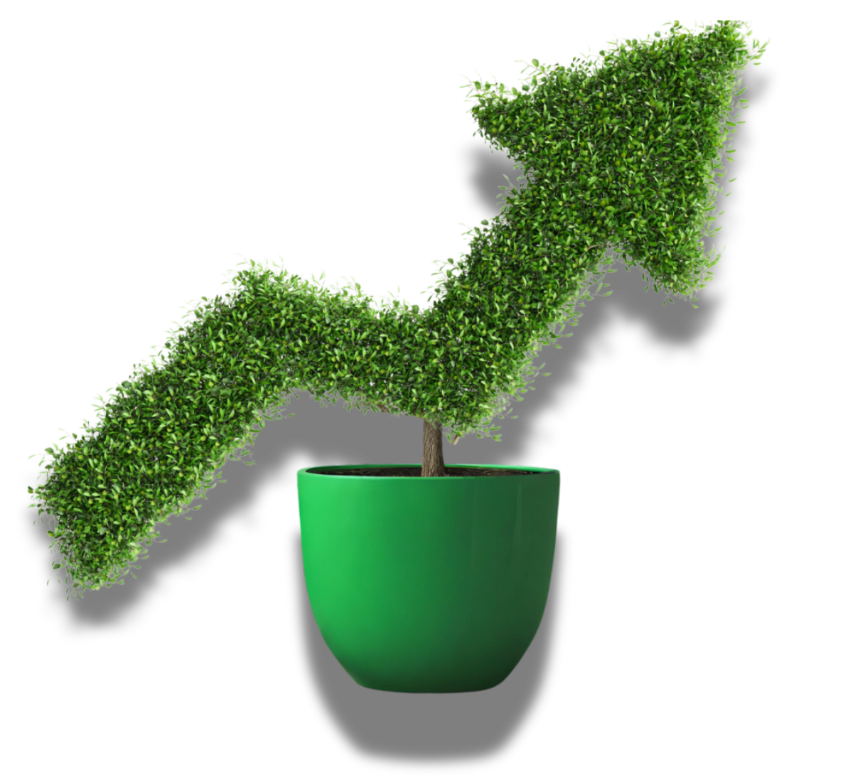 Home Nurture home-nurture